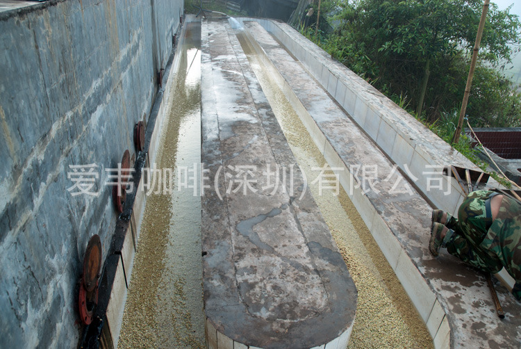水洗分级