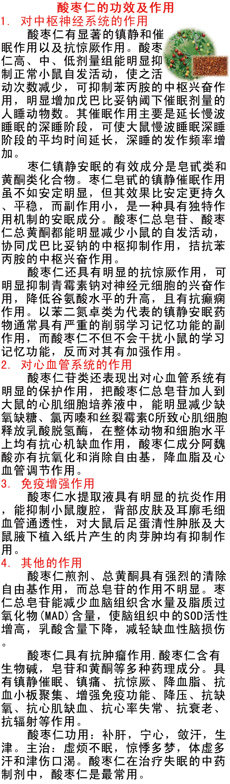 酸枣仁