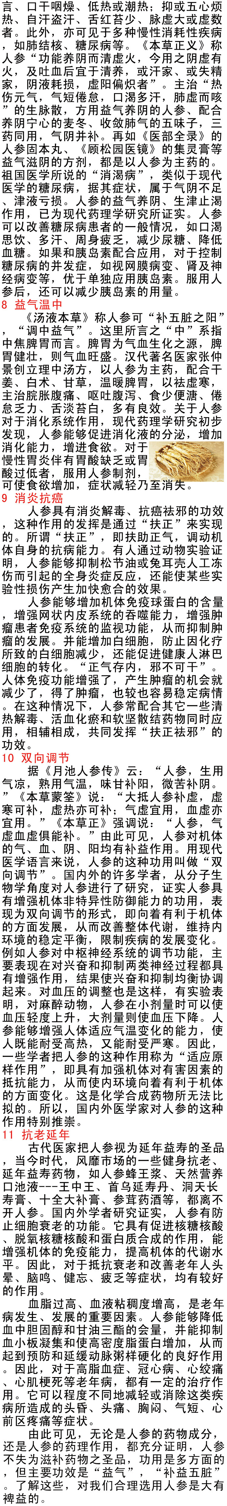人参2