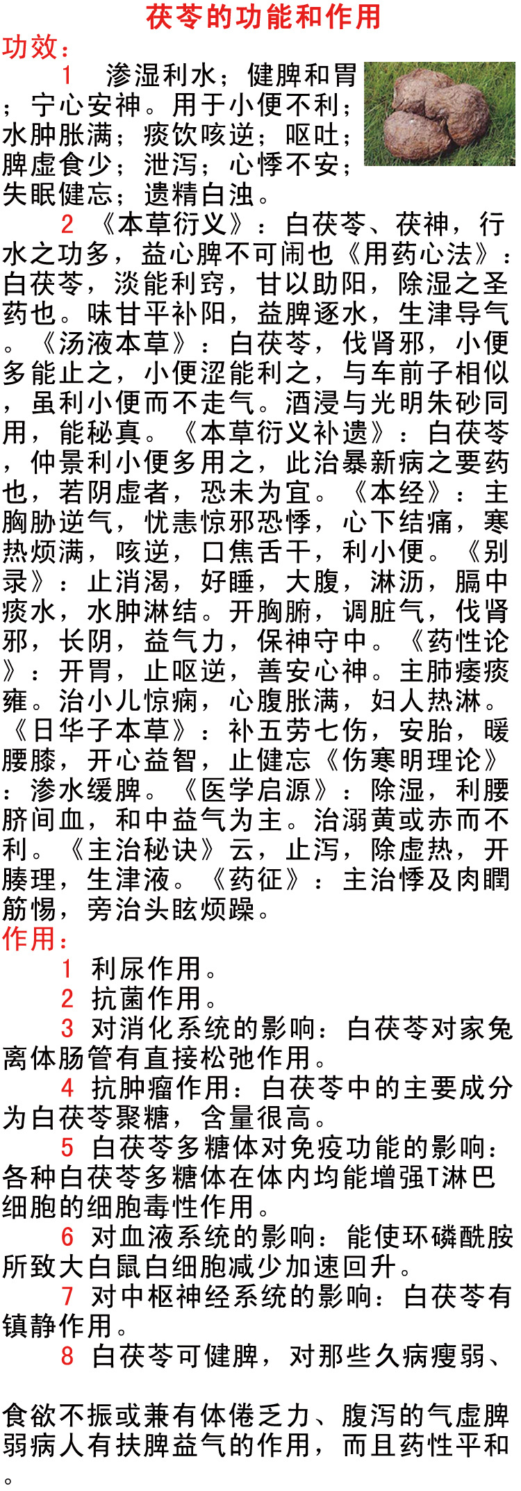 茯苓
