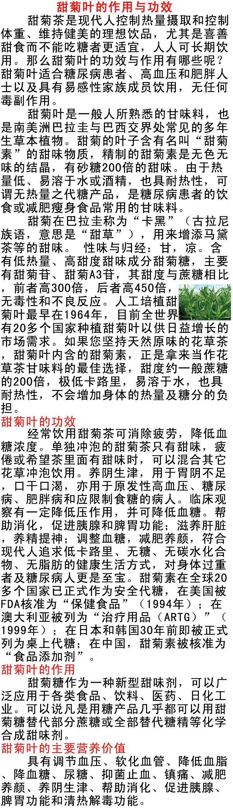 甜菊叶