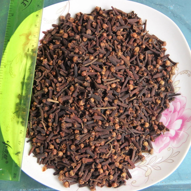 丁香尺寸