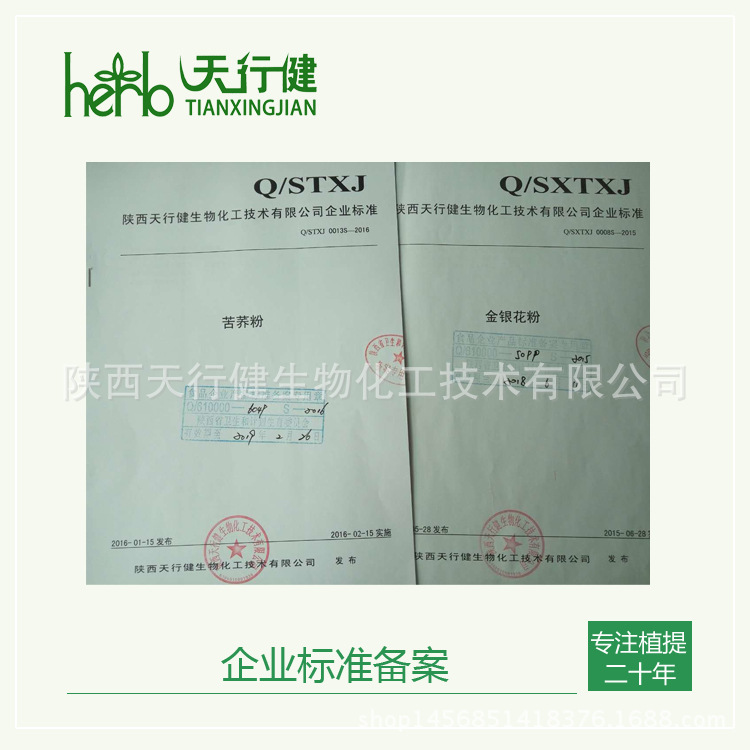 企业标准备案4