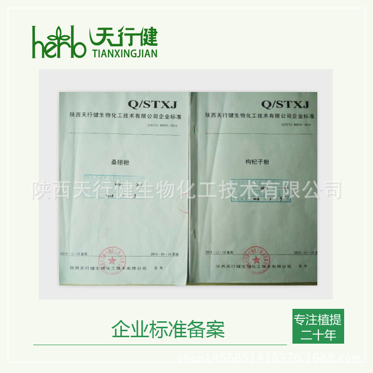 企业标准备案2
