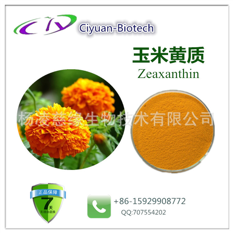 玉米黄质002_副本