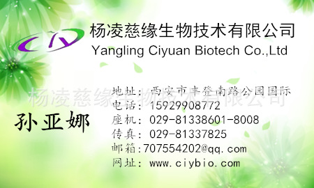 名片 杨凌01_副本