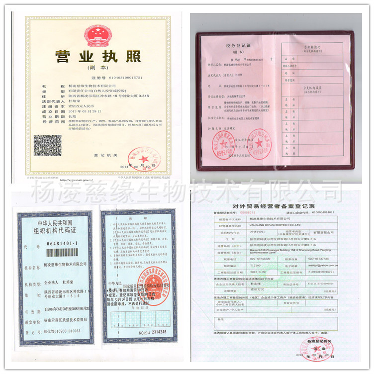 杨凌证照_副本