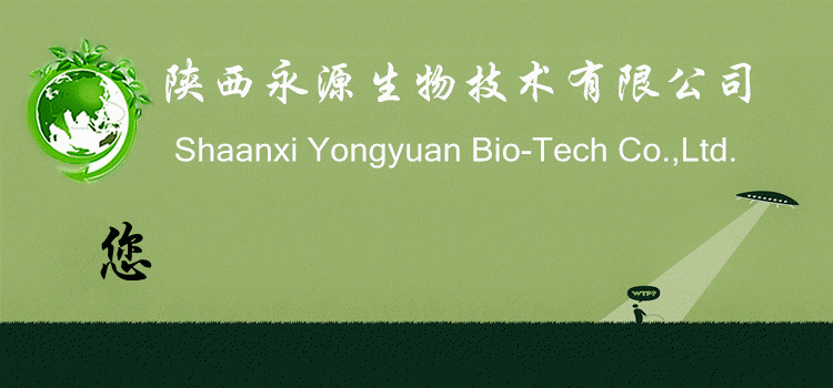 动态最新_副本