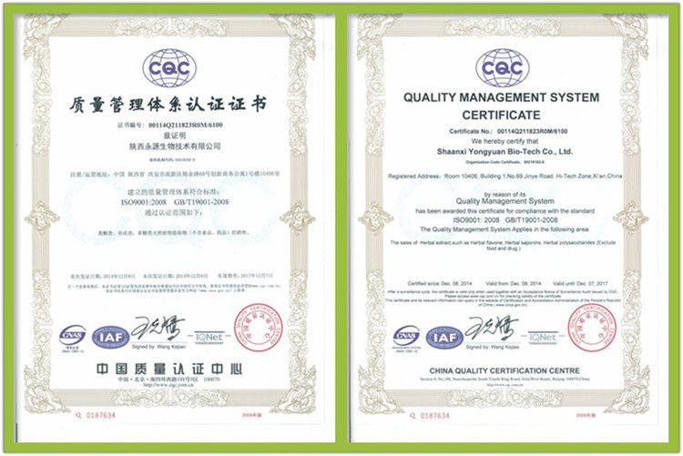 ISO9001图片
