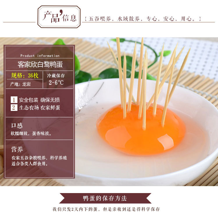 白鹭鸭蛋_02