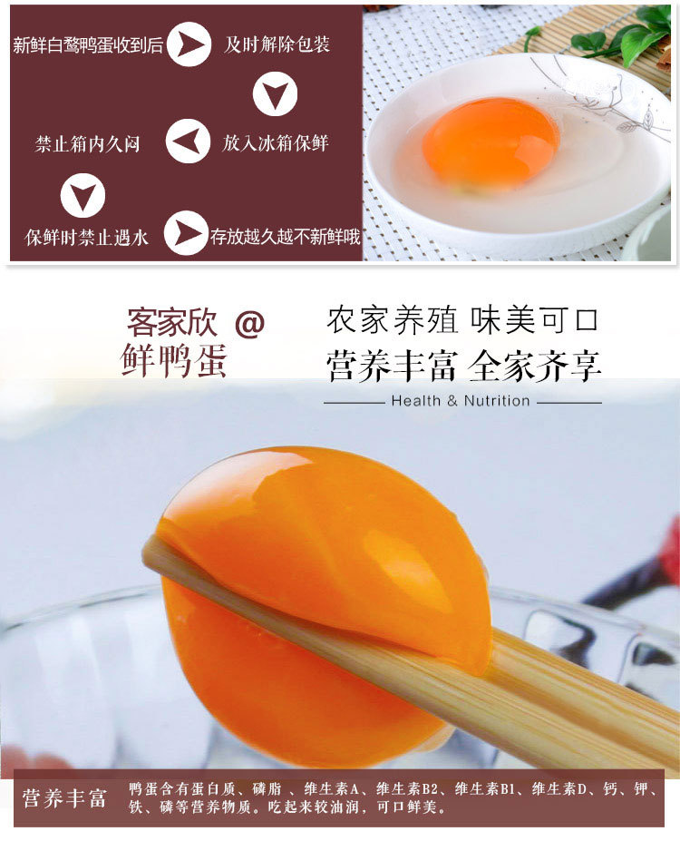 白鹭鸭蛋_03