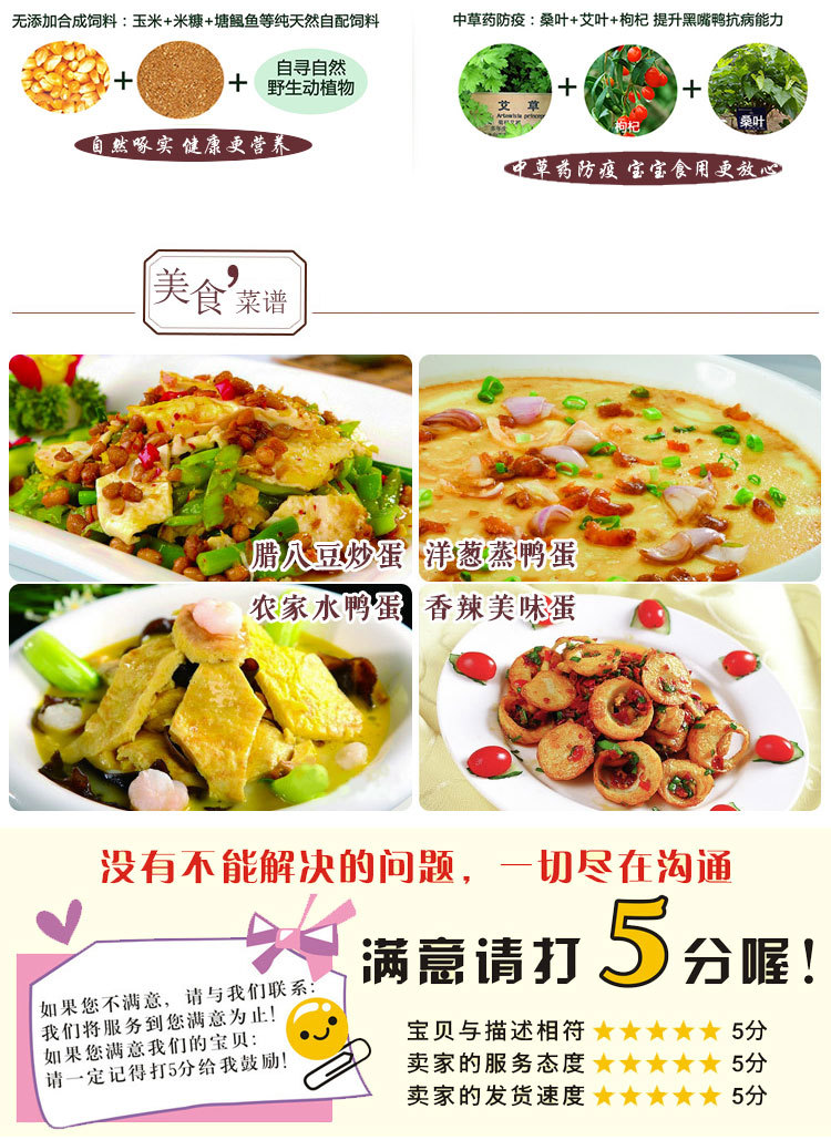 白鹭鸭蛋_05