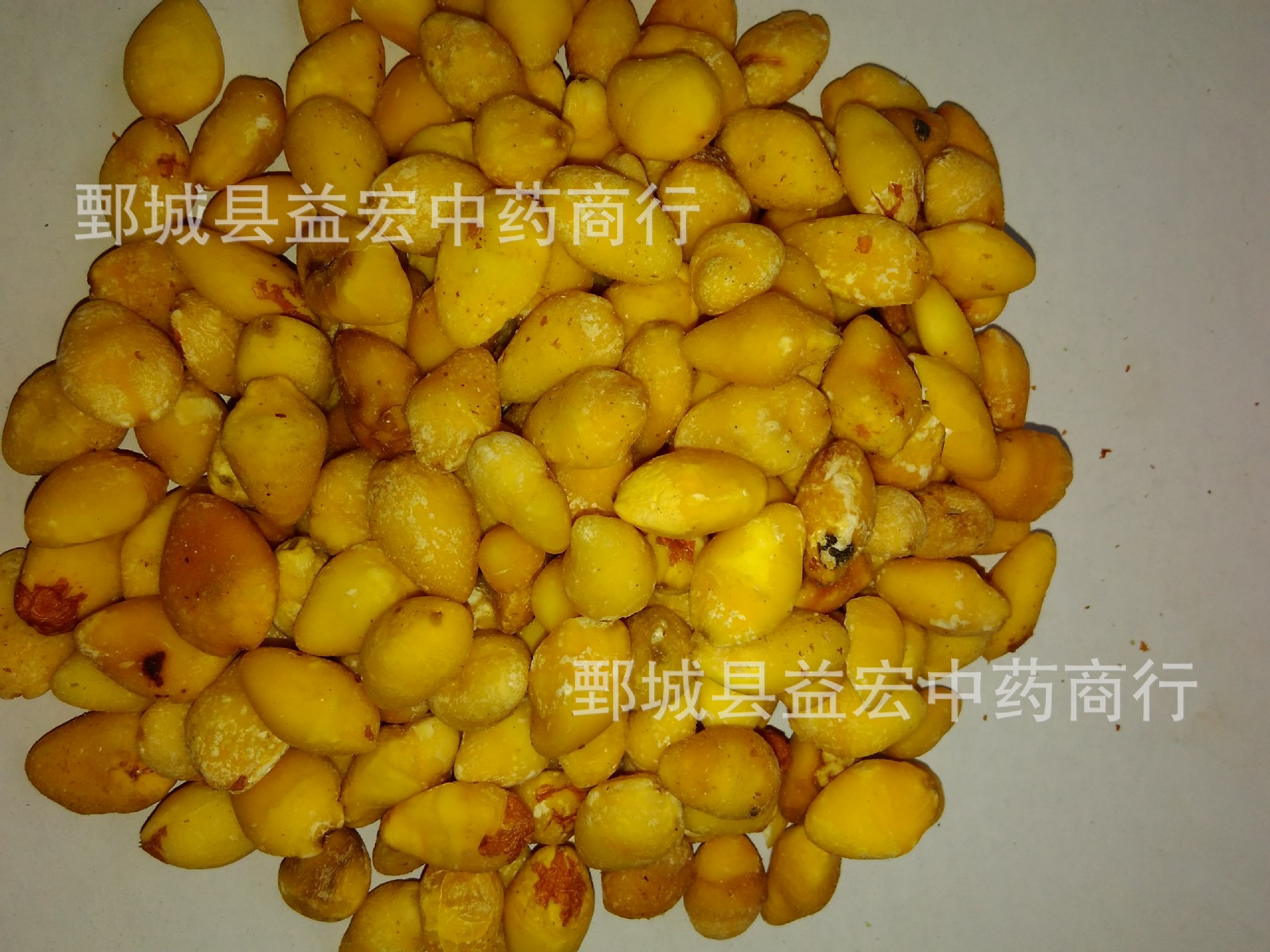 白果仁