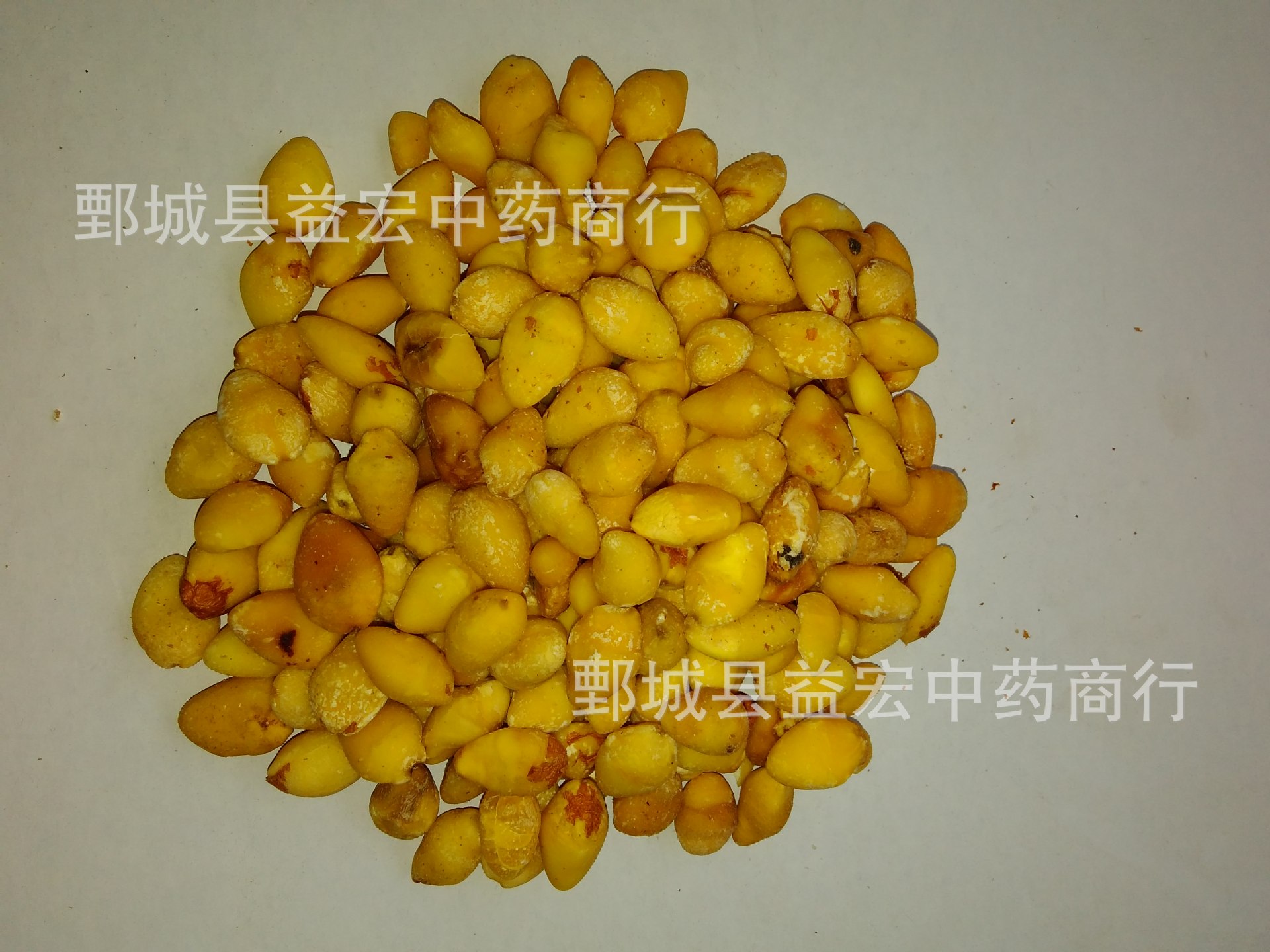 白果仁