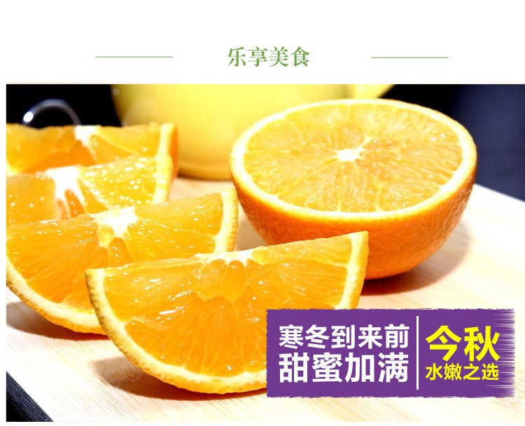 脐橙描述v一级果_18