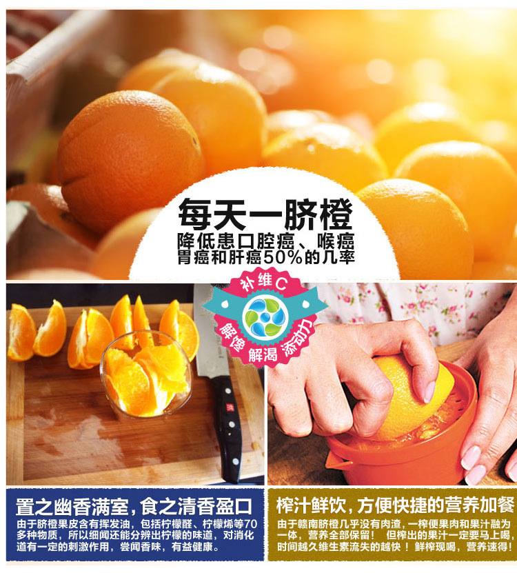 脐橙描述v一级果_19