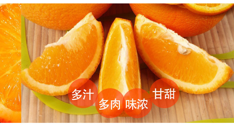 脐橙描述v一级果_08