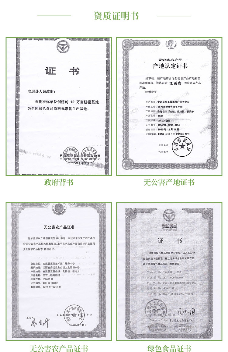 脐橙描述v一级果_09