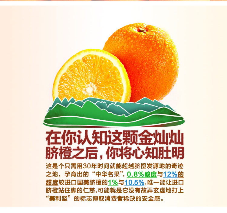 脐橙描述v一级果_17