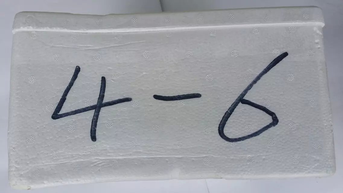29