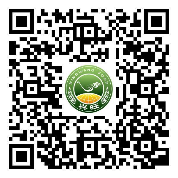 手机APP二维码