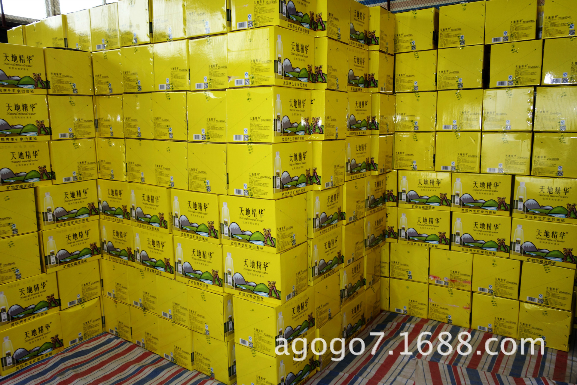 DSC00795