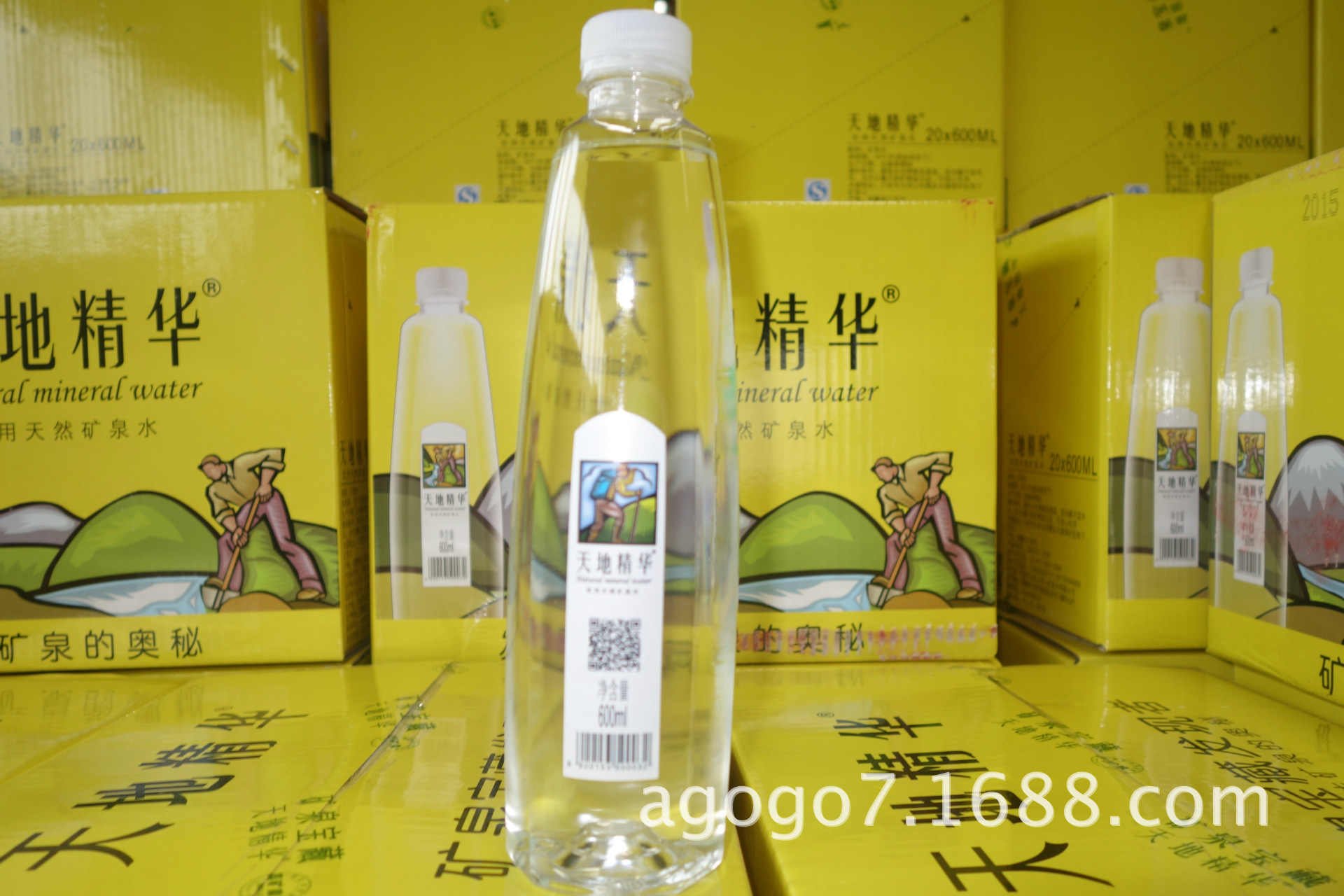 DSC00801