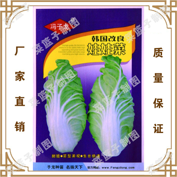 韩国改良娃娃菜