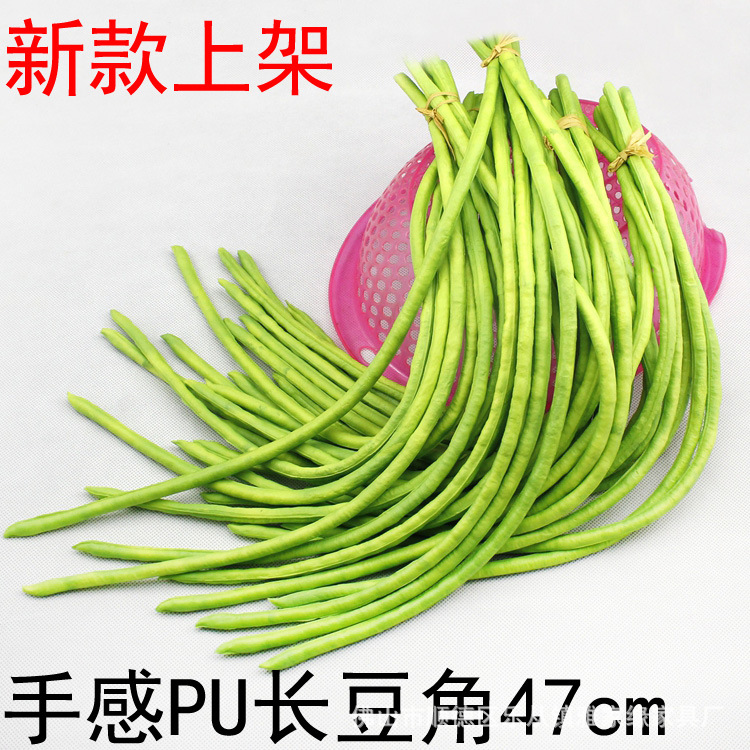 PU长豆角 (2)