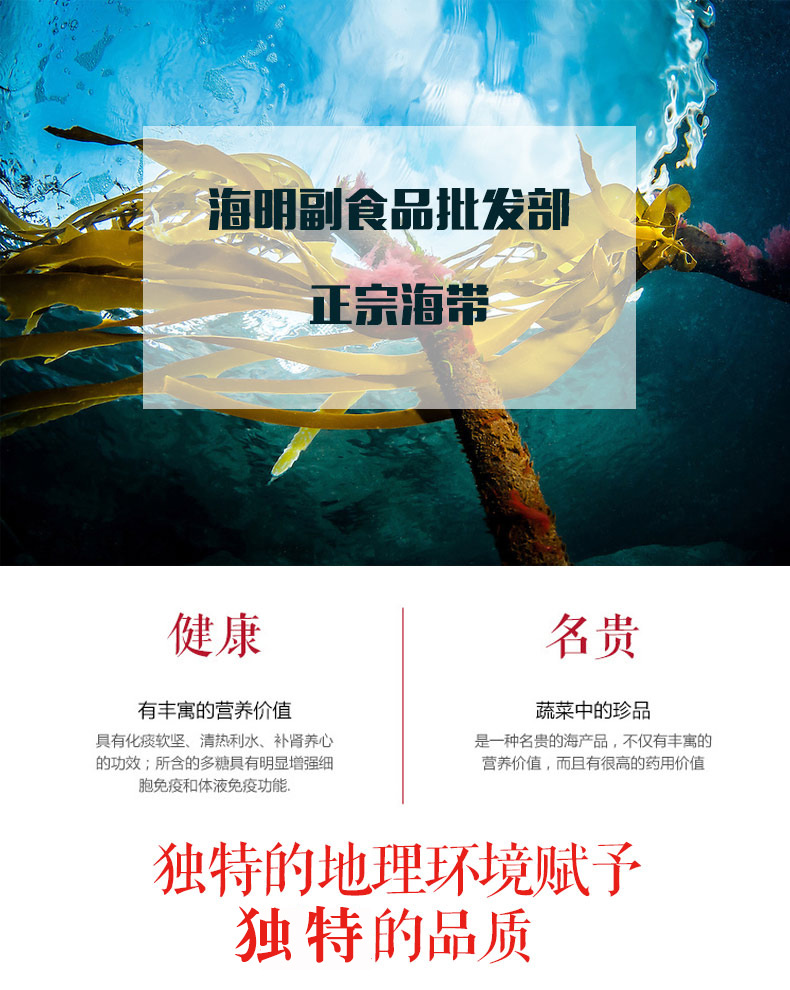 海带_01