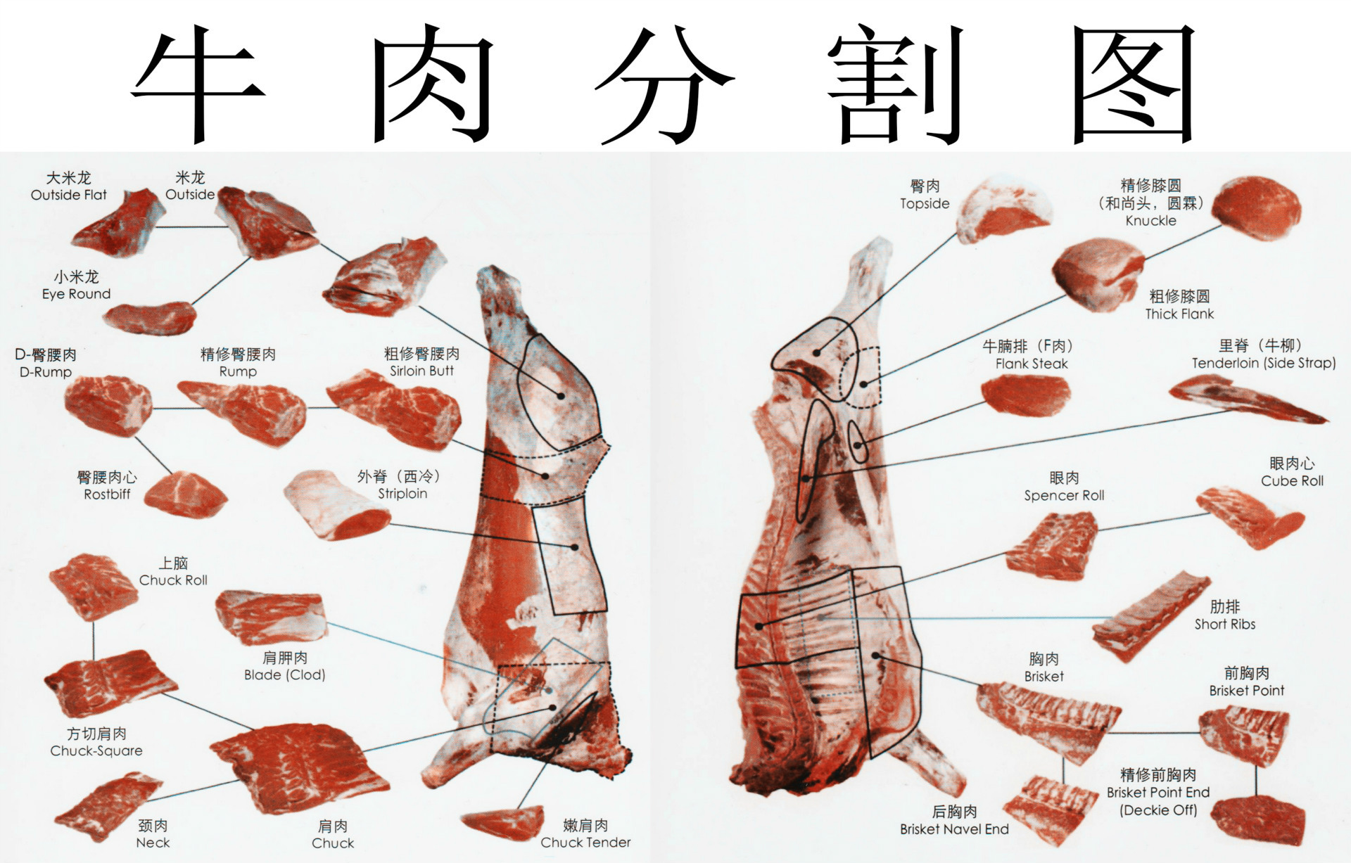 牛肉分割图123