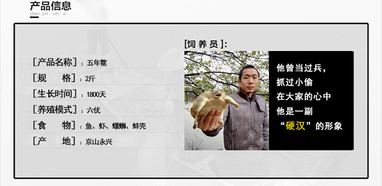 甲鱼详情页_08