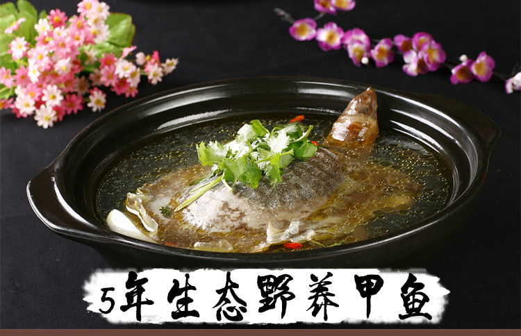 甲鱼详情页_01