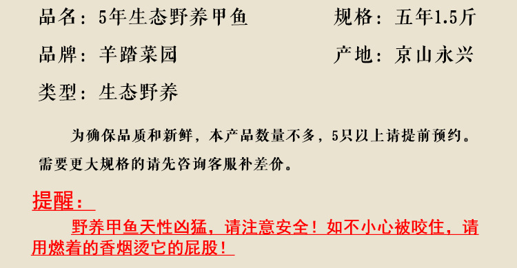 甲鱼详情页_03