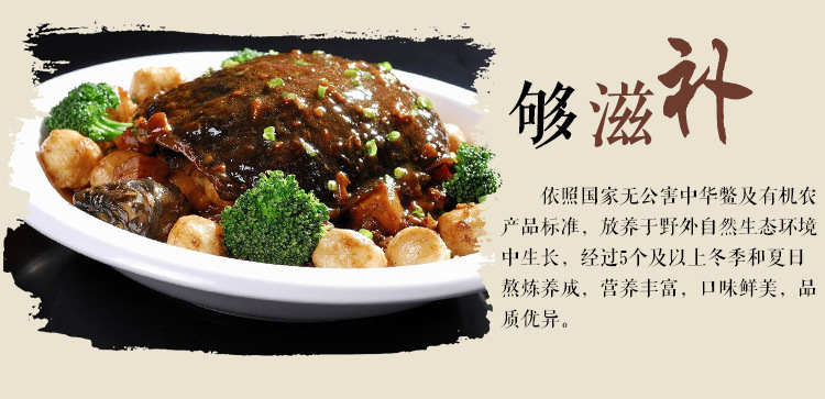 甲鱼详情页_06
