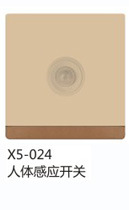 西龙链接内页X5豪金系列_27