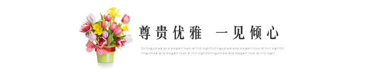 西龙内页_06