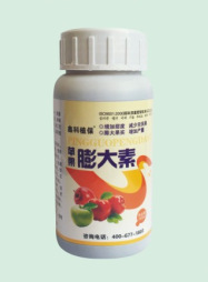 苹果膨大素