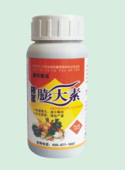 根茎膨大素
